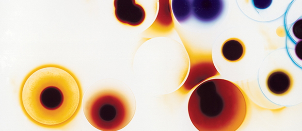 Desconstrução fotográfica